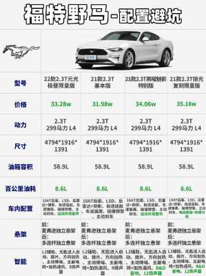 野马的功能配置-图1 野马的功能配置-图1