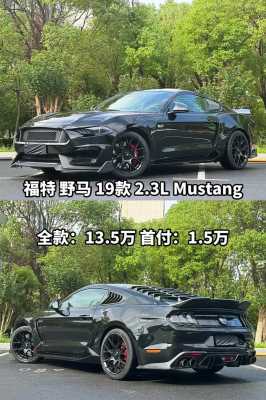 野马的功能配置-图3 野马的功能配置-图3