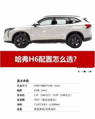 哈弗买哪个配置最好-图3 哈弗买哪个配置最好-图3